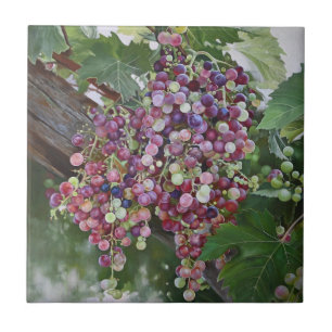 Grapevine Glorie — Hyperrealistische Weinbaukunst Fliese