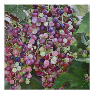 Grapevine Glorie — Hyperrealistische Weinbaukunst  Poster