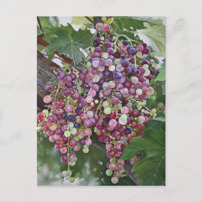 Grapevine Glorie — Hyperrealistische Weinbaukunst  Postkarte (Vorderseite)