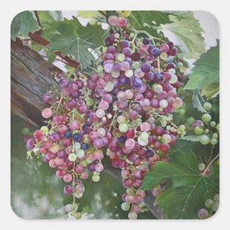 Grapevine Glorie — Hyperrealistische Weinbaukunst  Quadratischer Aufkleber