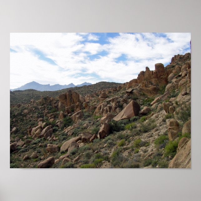 Grapevine Hills Rocks & Chisos Mountains, Texas Poster (Vorne)