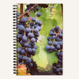 Grapevine Notebook (Hardcover) Notizbuch