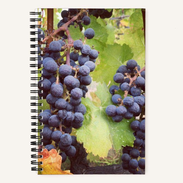 Grapevine Notebook (Hardcover) Notizbuch (Vorderseite)