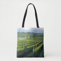 Grapevinen in feinen Reihen im Napa in Kalifornien