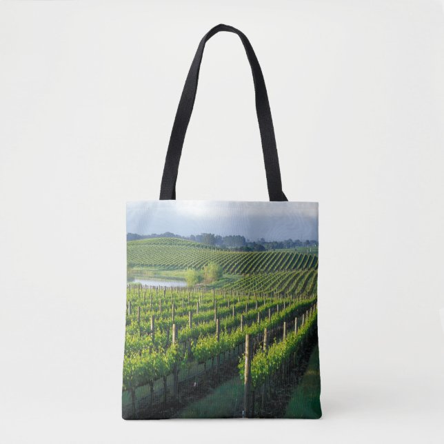Grapevinen in feinen Reihen im Napa in Kalifornien Tasche (Vorderseite)