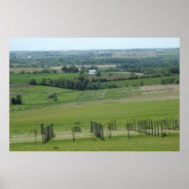 Grapevines Vignoble Poster photo