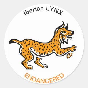 Graphic- Iberian LYNX- gefährdete Tierarten- Wildt Runder Aufkleber