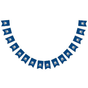 Graphique Drapeau Dynamique Louisiane sur un
