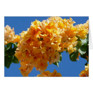 Grappe de Fleur Tropicale de Bougainvillée Dorée