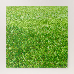 Gras
