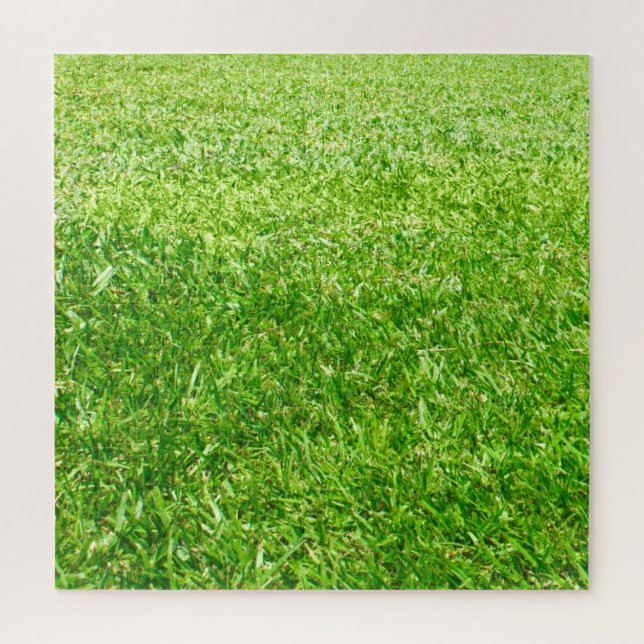 Gras (Vertikal)