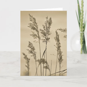 Gras-Anmerkungs-Karte Karte