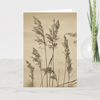 Gras-Anmerkungs-Karte Karte