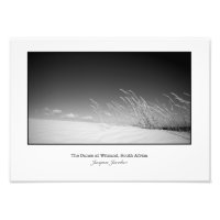 Gras auf Düne