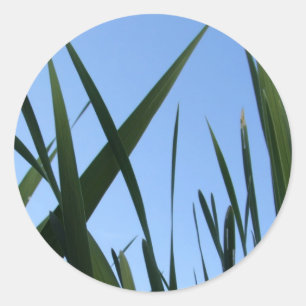 Gras-Aufkleber Runder Aufkleber