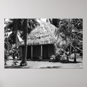 Gras-Bretterbude auf Strand - Hawaii-Insel Poster
