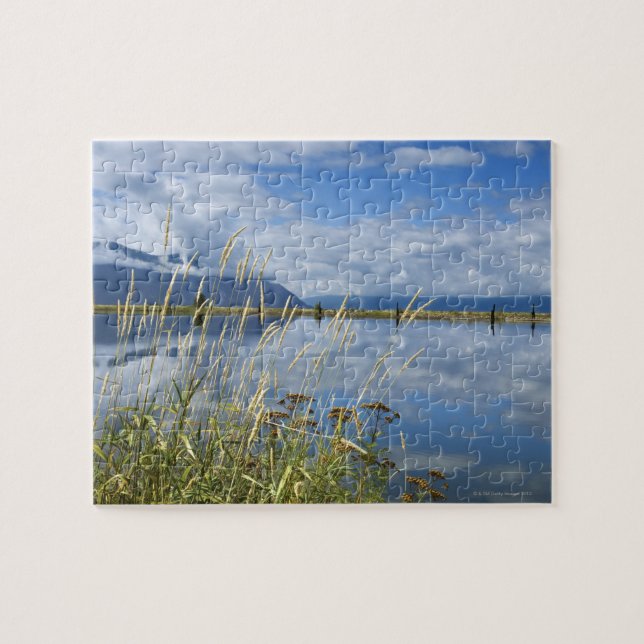 Gras deckt nahe See, Idaho mit Schilf (Horizontal)