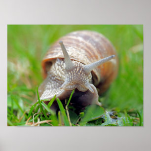 Gras essen poster