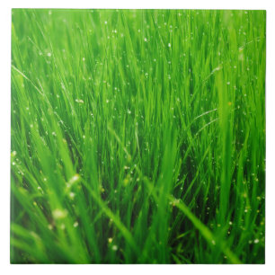 Gras Fliese