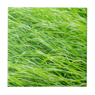 Gras Fliese