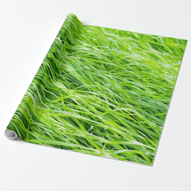 Gras Geschenkpapier (Ungerollt)