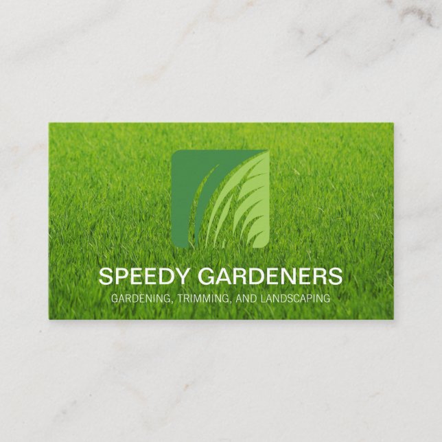 Gras-Logo | Landscaper-Baum-Symbol Visitenkarte (Vorderseite)