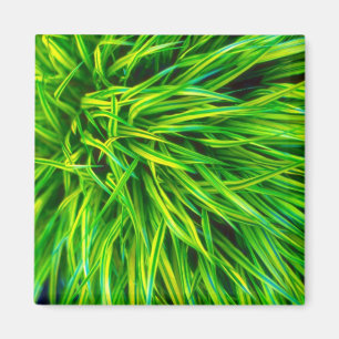 Gras Magnet