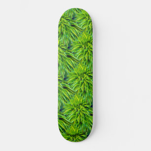 Gras Skateboard
