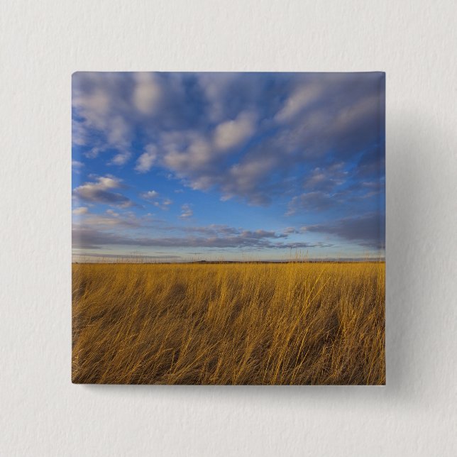 Gras und der dramatische Himmel am Freezeout-See Button (Vorderseite)