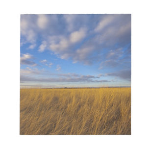 Gras und der dramatische Himmel am Freezeout-See Notizblock