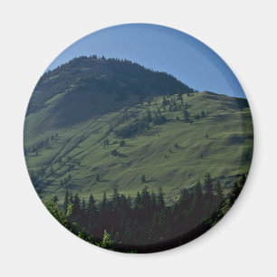 Grasartige Abdeckungen Magnet