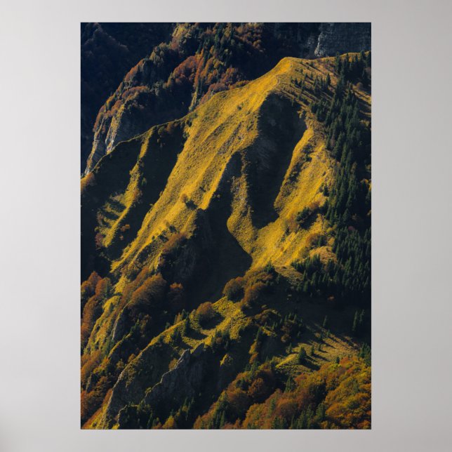 Grasberg im Herbst Poster (Vorne)