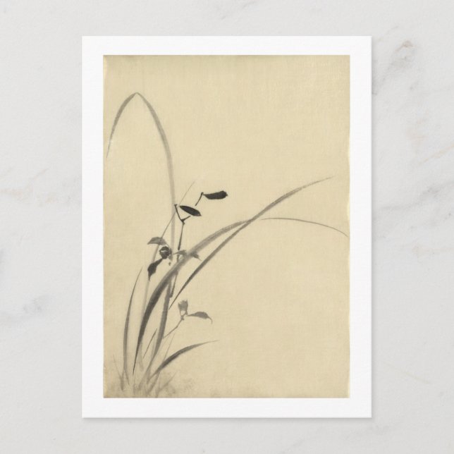 Gräser, Hokusai japanische Kunst Postkarte (Vorderseite)
