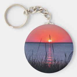 Gräser im Abendlicht - Insel Rügen Schlüsselanhänger