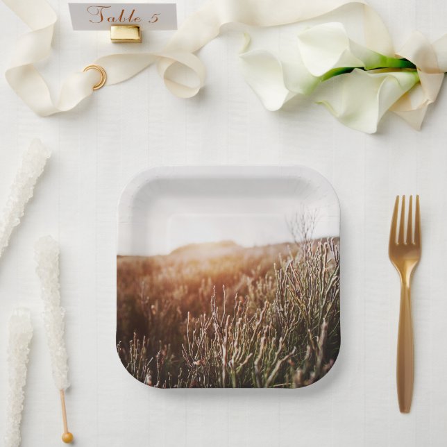Grasfeld von Boho Pappteller (Hochzeit)
