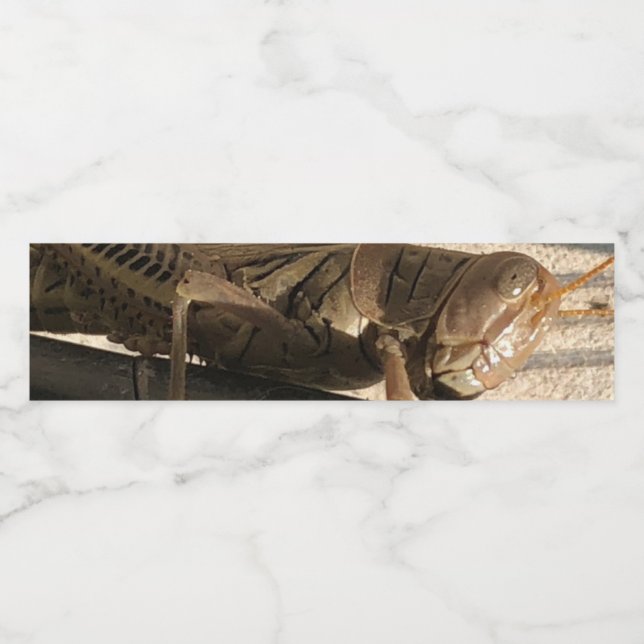 Grasgrün  (Einzelnes Label)