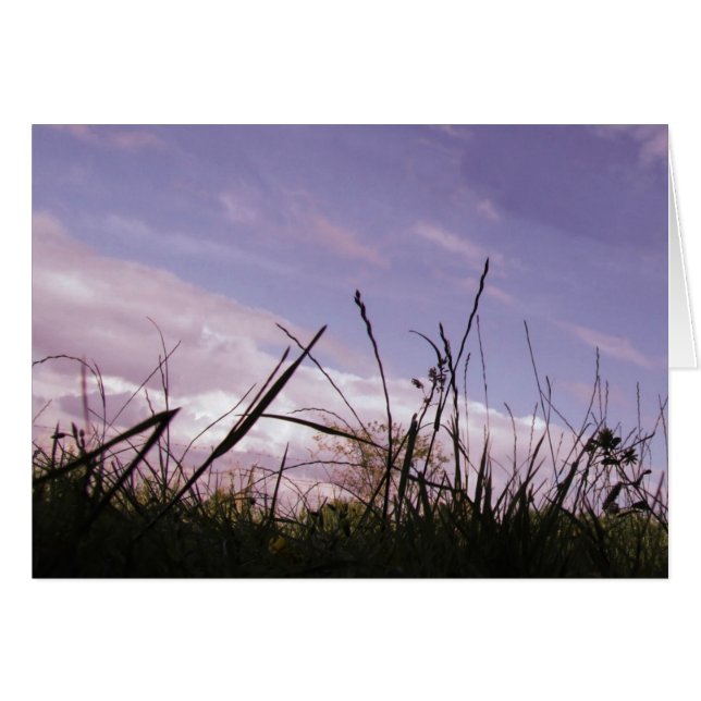 Graskarte (Vorderseite (Horizontal))