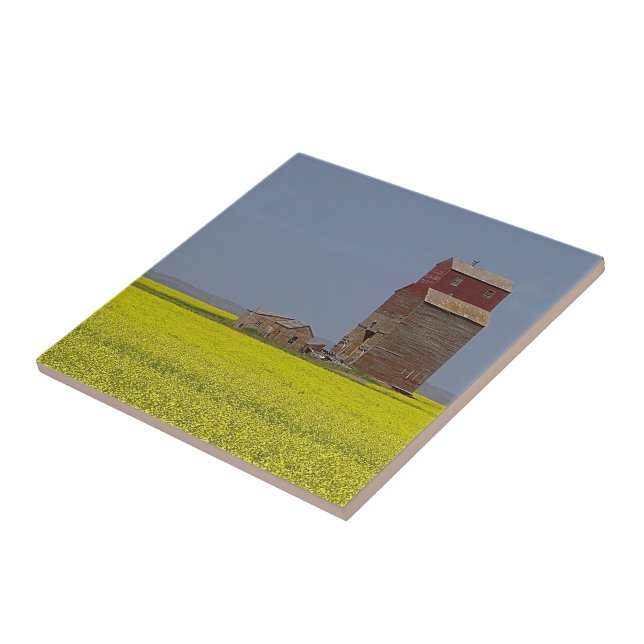Grasland-Aufzugs-Landschaft Fliese (Seite)