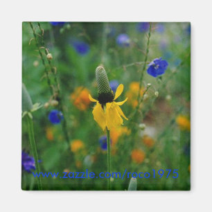 Grasland Coneflower Magnet