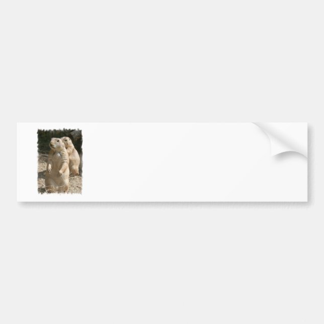 Grasland-HundeFoto-Autoaufkleber Autoaufkleber (Vorne)
