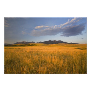 Grasland im Vorgebirge Fotodruck