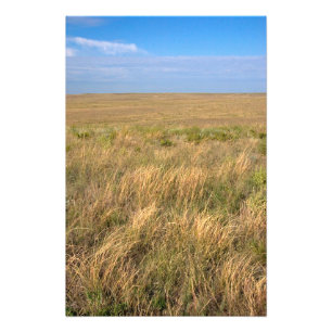 Grasland-Prärie östlich von Sidney, Nebraska. Fotodruck