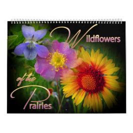 Grasland-Wildblume-Kalender Kalender