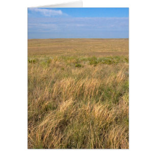 Graslandschaft Prärie östlich von Sidney, Nebraska