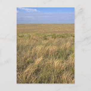 Graslandschaft Prärie östlich von Sidney, Nebraska Postkarte