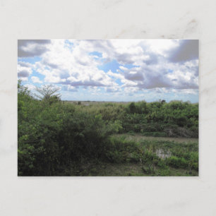 Grasmeer Postkarte