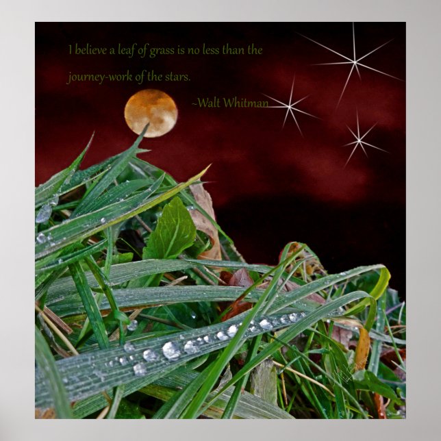 "Grass", Art Poster mit Walt Whitman Zitat (Vorne)