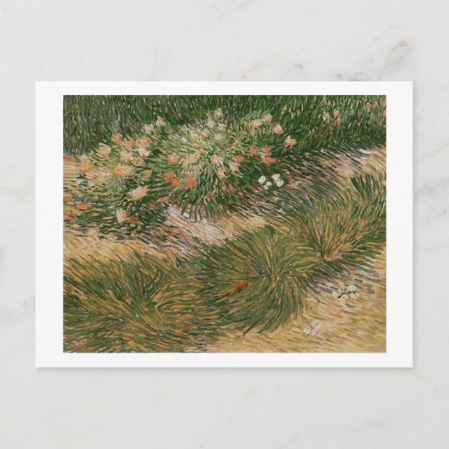 Grass & Butterflies (F460) Van Gogh Fine Art Postkarte (Vorderseite)