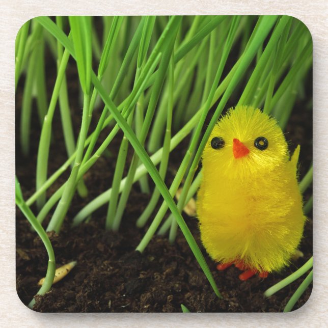 grass chick getränkeuntersetzer (Vorderseite)