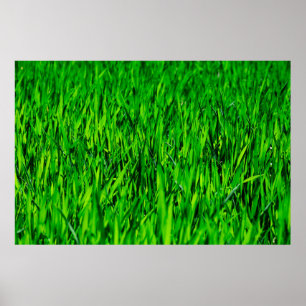 Grass field meadow lawn growth poster